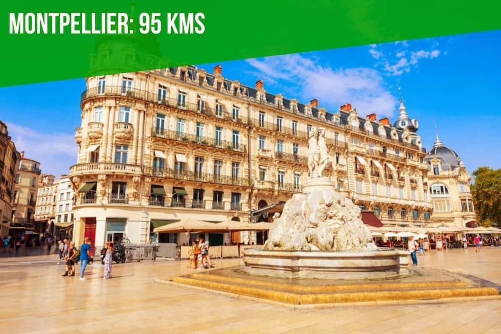 Aux Marches Du Palais - Ac Clim - Spacieux - Terrasse - Wifi Авиньон Екстериор снимка